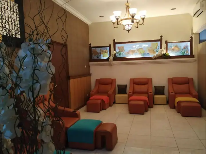 Ruangan  Spa  Dgarden