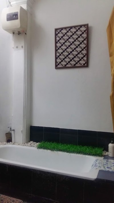 Bathtub Cantel Spa N Salon