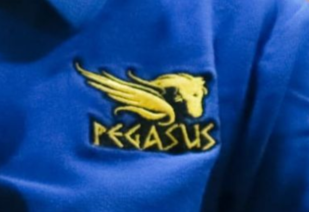 Pegasus Spa Bandung Logo